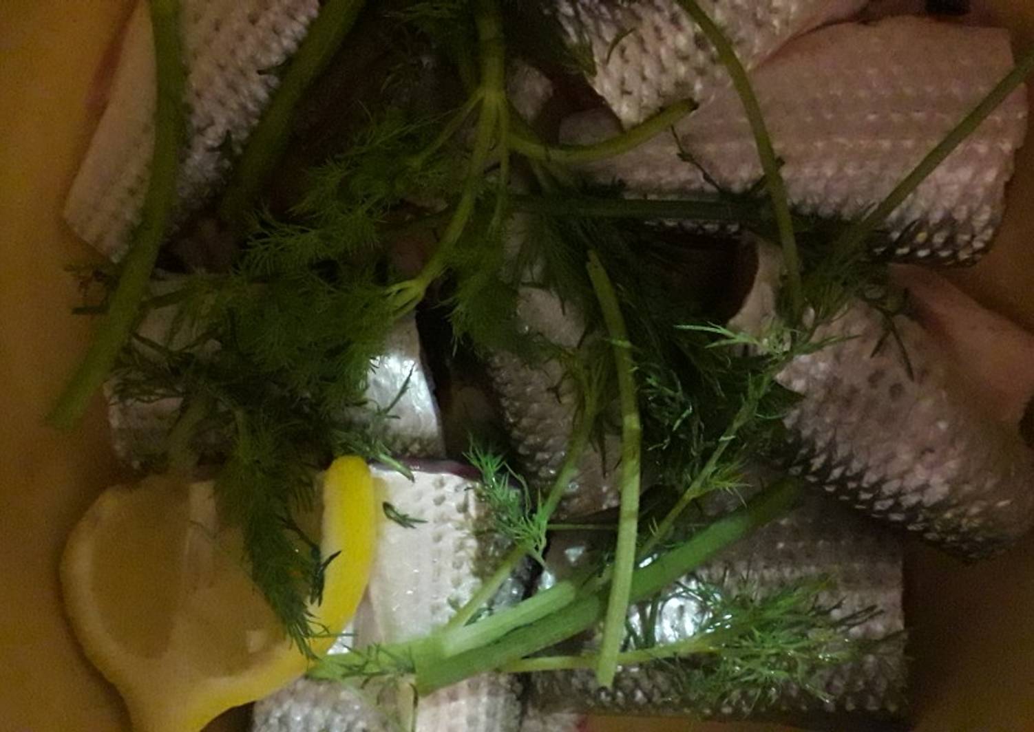 кефаль соленая. кефаль рыба филе. кефаль рыба соленая. кефаль можно солить. кефаль маринованная.