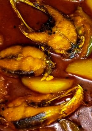 রুই মাছের ঝোল (rui maacher jhol recipe in Bengali) রেসিপির প্রধান ছবি