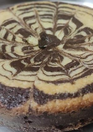 A picture of Zebra cake.