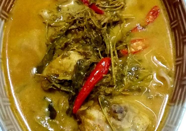 แกงกะทิไก่ยอดมะขามอ่อน