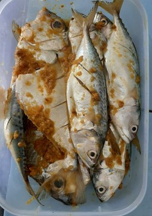 Foto resep Bumbu marinasi ikan (tinggal bakar/goreng) awet 1minggu d kulkas