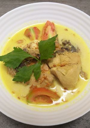 Foto resep 90. Opor Ayam