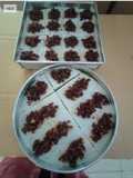 Kiam kou kue maknyus