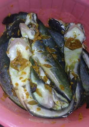 Foto resep (46) Bumbu Dasar Lele Goreng