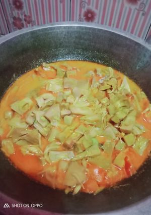 Foto resep Sayur lodeh tewel nangka muda