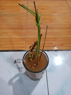 Foto resep Wedang sehat