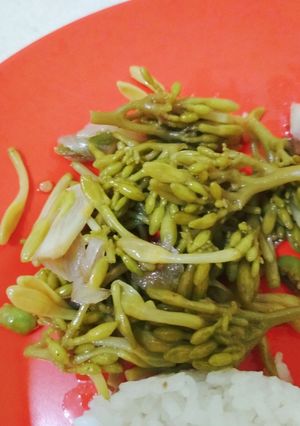 Foto resep Tumis bunga pepaya no pahit