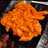 Red sauce pasta