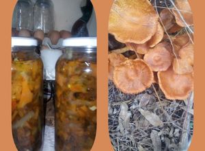 Una foto de Hongos de eucalipto en escabeche frescos
