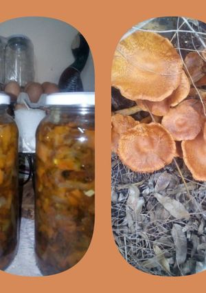 Una foto de Hongos de eucalipto en escabeche frescos