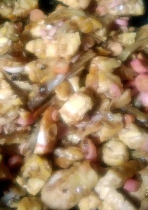 Foto resep 53. Tempe Teri Tumis Tunas Honje