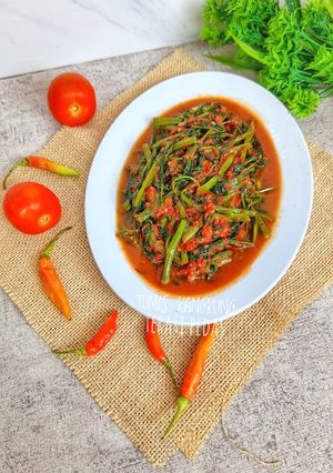 Foto resep Tumis Kangkung Terasi Pedas