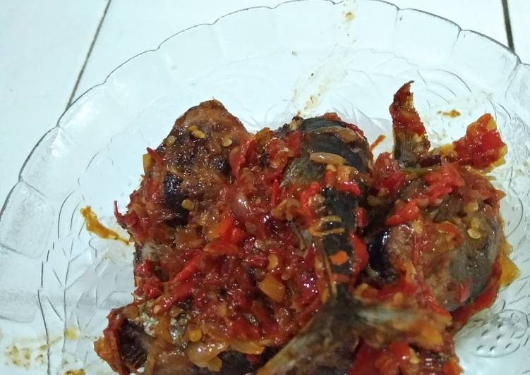 Tongkol �?�merah🌶�?