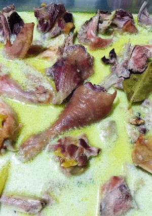 Foto resep Opor Ayam ala Madame