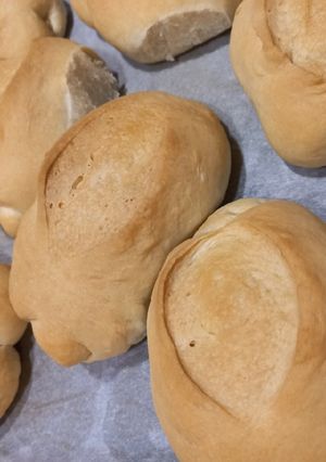 O poză a rețetei Panini all'olio.
