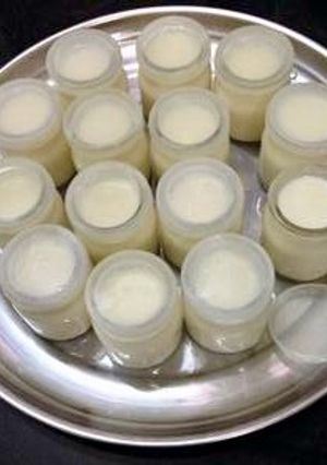 Hình của món Yogurt.