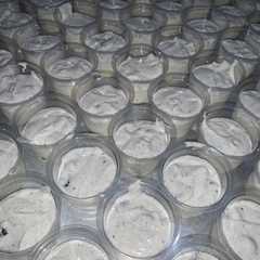 Cookies n Cream রেসিপির প্রধান ছবি