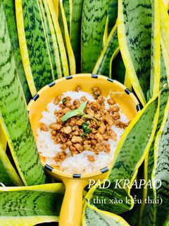 Hình của món Pad krapao (thịt xào kiểu Thái).