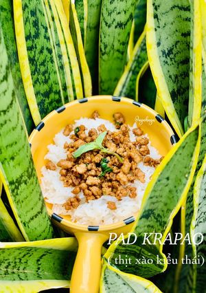 Hình của món Pad krapao (thịt xào kiểu Thái).
