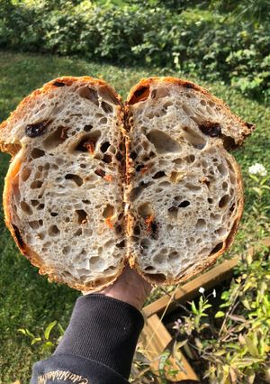Foto di Pane con Saragolla