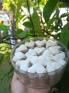 Foto resep Putri Salju Kacang Mede (Mente)