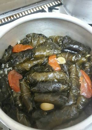 صورة لوصفة دوالي وكوسا بحشوة البرغل