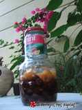 Loquat liqueur (seeds)