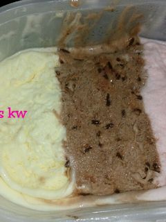 Foto resep Ice cream walls 3 rasa homemade duren,coklat, strawberry