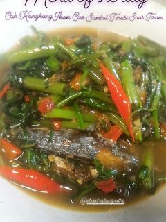 Foto resep Tumis Cah Kangkung Ikan Cue Terasi Saus Tiram