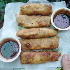 VEGETABLE ROLLS 💖 A picture of VEGETABLE ROLLS 💖.