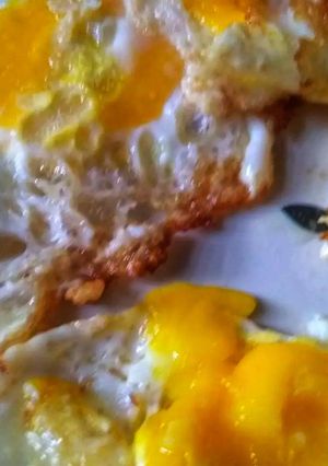 এগ পোচ(Egg poach recipe in Bengali) রেসিপির প্রধান ছবি