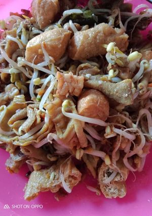 Foto resep Tumis toge tanggal tua