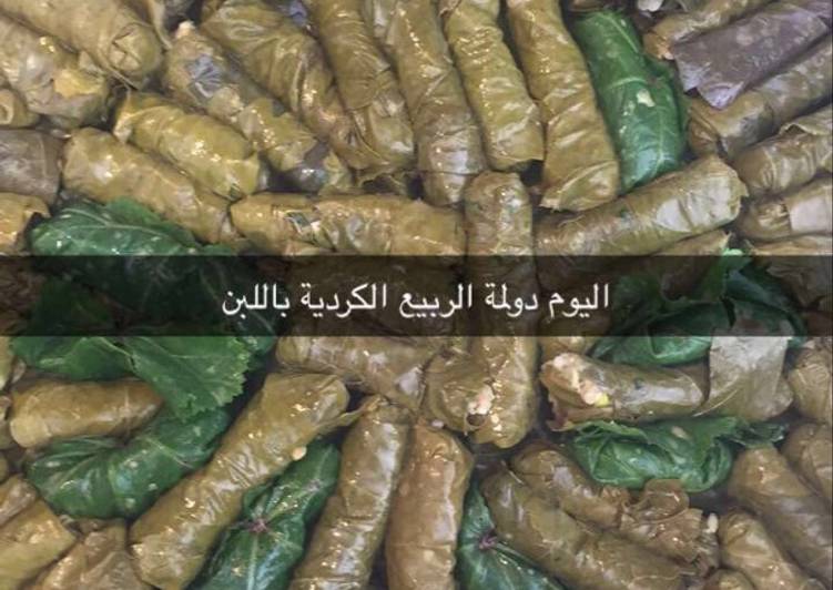 دولمة باللبن الغنم(الخاروف)