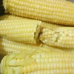 Boiled Maize A picture of Boiled Maize.