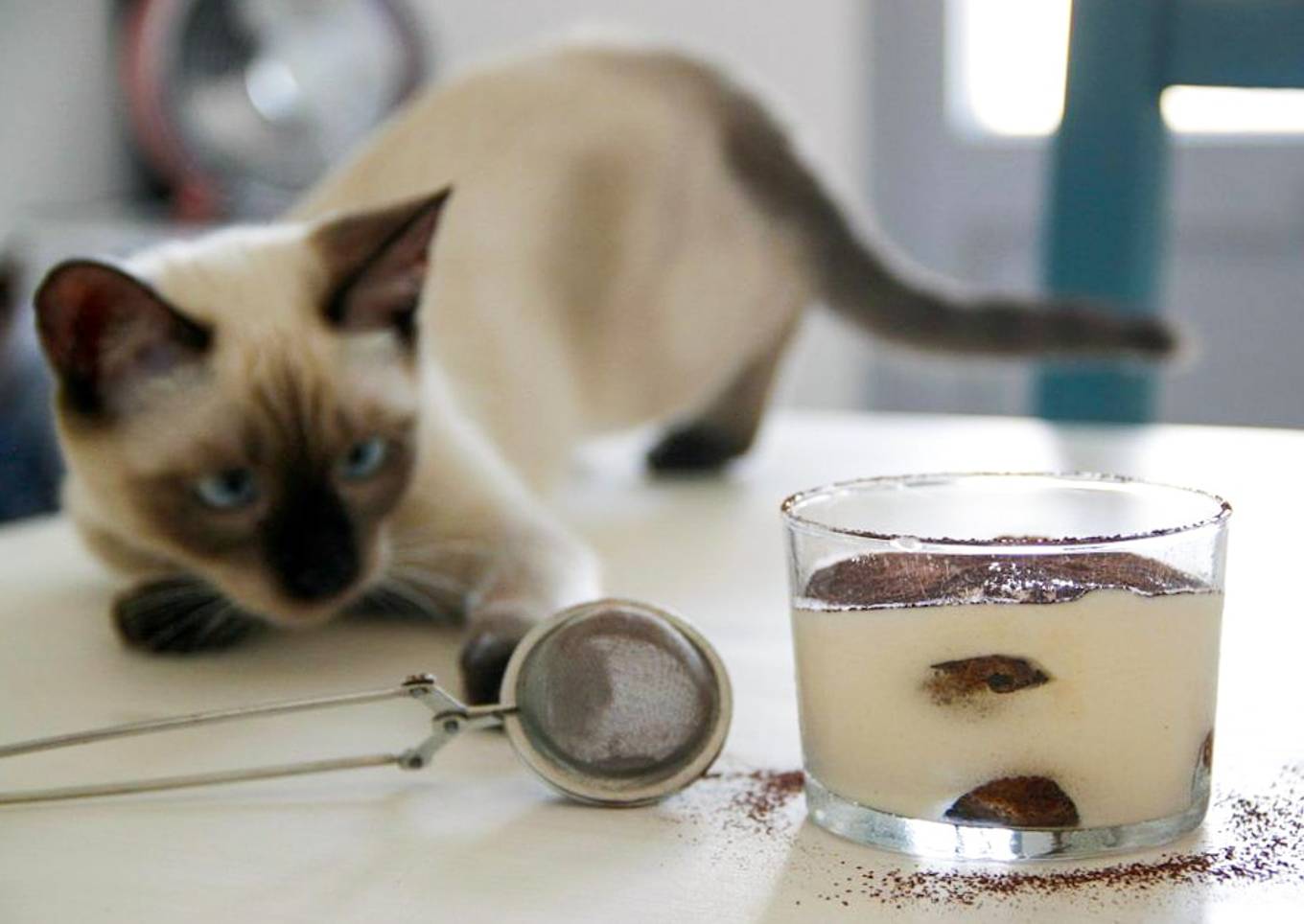 Tiramisú: clásico, pero irresistible