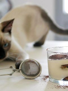 Una foto de Tiramisú: clásico, pero irresistible
