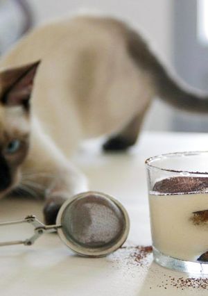 Una foto de Tiramisú: clásico, pero irresistible