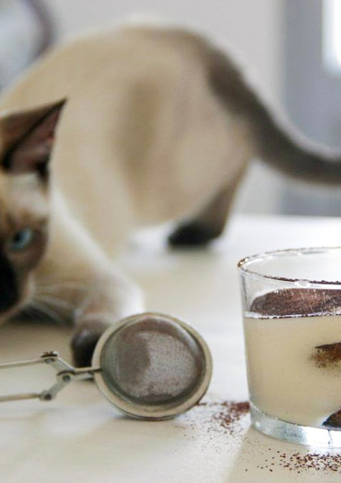 Una foto de Tiramisú: clásico, pero irresistible