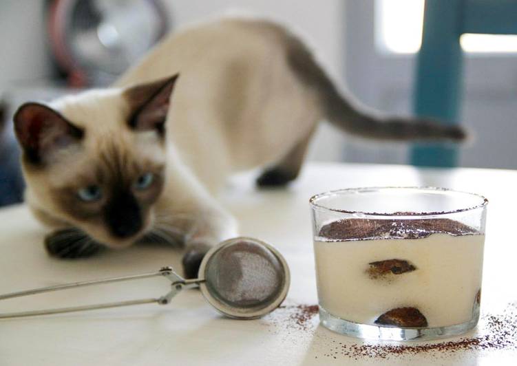 Tiramisú: clásico, pero irresistible