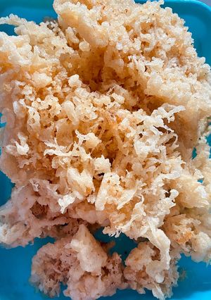 Foto resep Kremesan kriuk