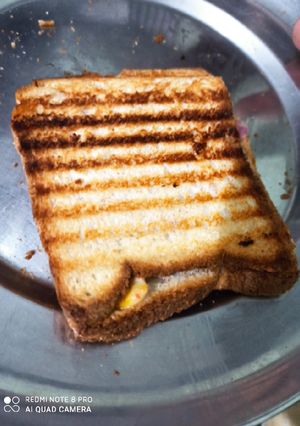 A picture of Grilled sandwich.