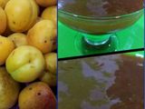 مربى المشمش