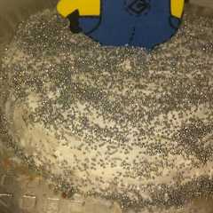 A picture of Torta rellena a mi manera.