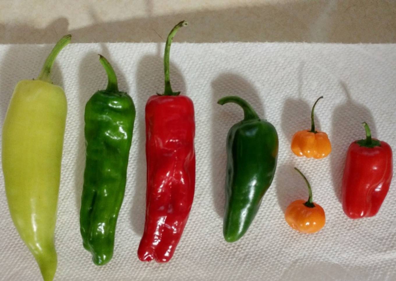 Salsa I