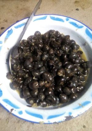 Foto resep Tutut pedas