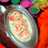 कुल्फी कस्टर्ड फालूदा (Kulfi custard Falooda recipe in Hindi)