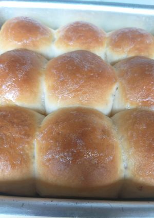 A picture of Pav.
