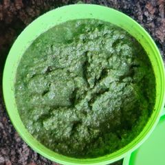 A picture of Pudina chutney.