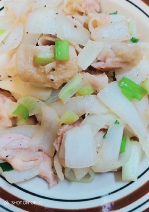 蔥燒雞加洋蔥版 的食譜成品照片