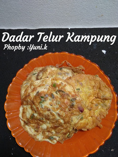 Foto resep Telur Dadar Kampung